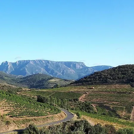 Entre Vignes Et Garrigues Villa Assignan
