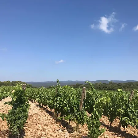 Entre Vignes Et Garrigues Assignan